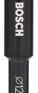 Bosch Burghiu diamantat gaurire umeda, 12mm